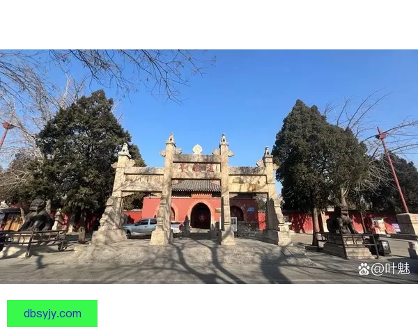 海港B平赛更达泰山胜泰安天贶 海港B平赛更达泰山胜泰安天贶